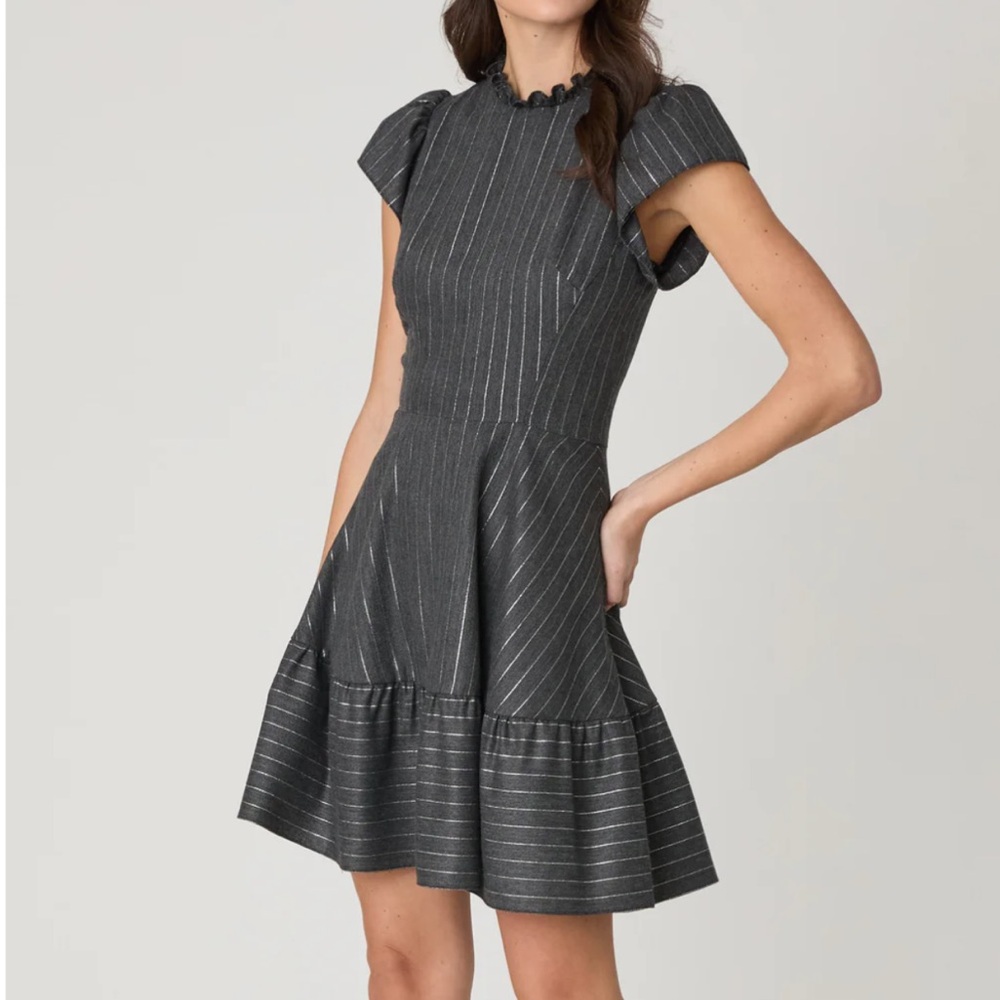 Shoshanna Delaney Dress - Grey/Silver Size 4
New with Tag